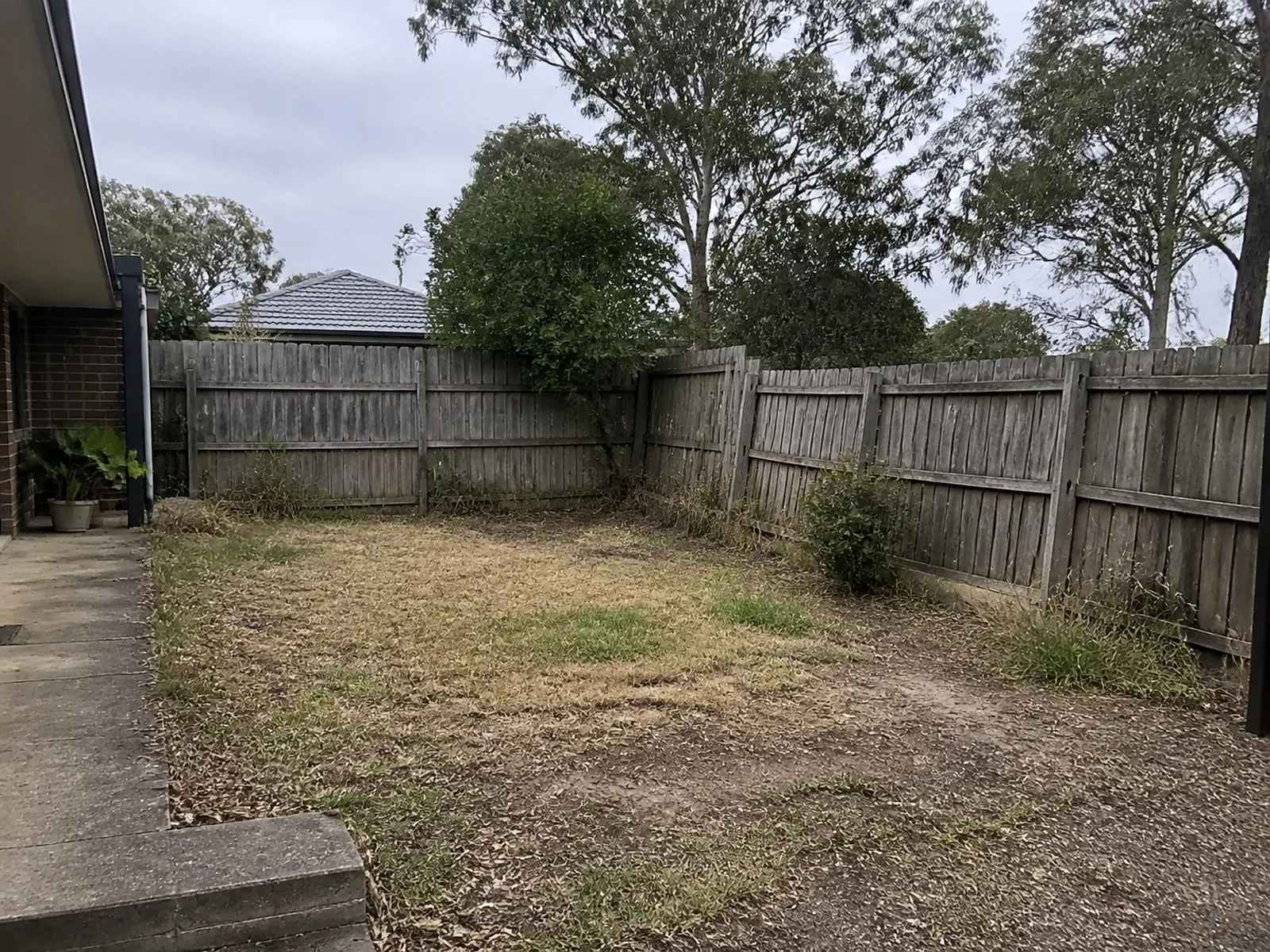 Backyard before renovation Sydney NSW - overgrown yard with patchy dead grass and an old damaged timber fence